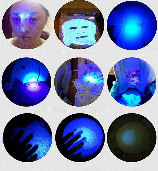 Blacklight torch shining a violet UV beam across a carpet