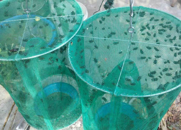 Reusable Insect Killer Net Fly Trap Cage Trap Outdoor Ranch Pest Hanging Catcher - Lets Party