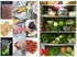 products/S297927.jpg