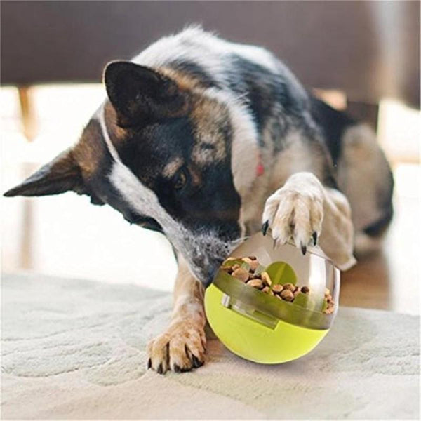 Interactive Hunting Toy Funny Treat Game Play Teaser Food Dispenser Pet Dog Cat - Lets Party