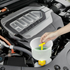 products/S419448.png