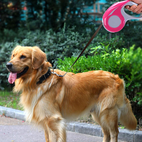 5M Adjustable Dog Pet Puppy Lead Leash Rope Retractable Extendable Training Walk - Lets Party