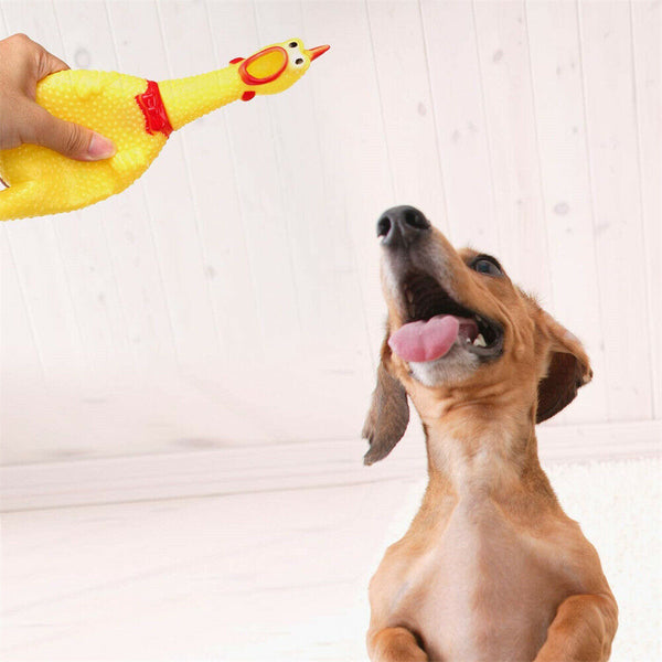 Squeeze Screaming Chicken Pet Dog Puppy Cat Toy Squeaker Chew Bite Toys Rubber - Lets Party