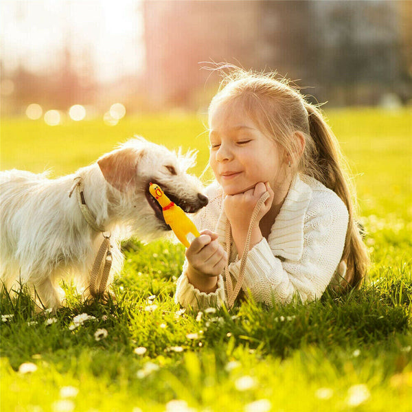 Squeeze Screaming Chicken Pet Dog Puppy Cat Toy Squeaker Chew Bite Toys Rubber - Lets Party