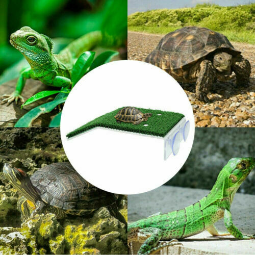 Turtle Basking Platform Ramp Reptile Tank Ladder Resting Terrace Simulation Au - Lets Party