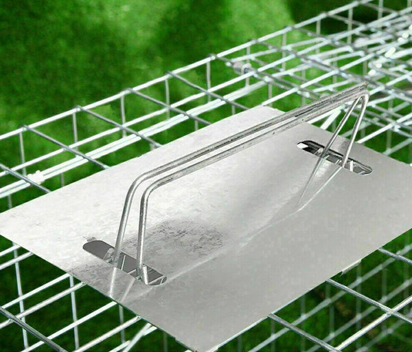 Garden Animal Trap Humane Possum Cage Live Animal Safe Catch Rabbit Cat Hare - Lets Party