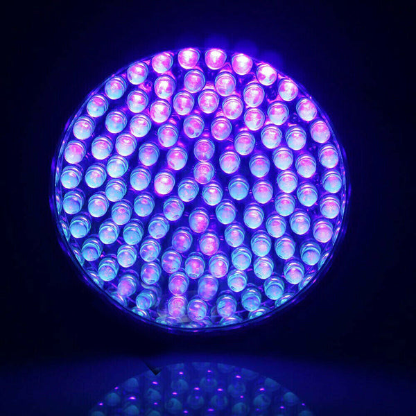 100 LED UV Flashlight Torch Light Lamp Ultraviolet Blacklight Aluminum 395 nM - Lets Party