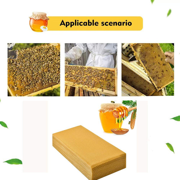 30pcs Bee Hive Wax Frames Honeycomb Foundation Sheets Beekeeping Honey Equipment - Lets Party