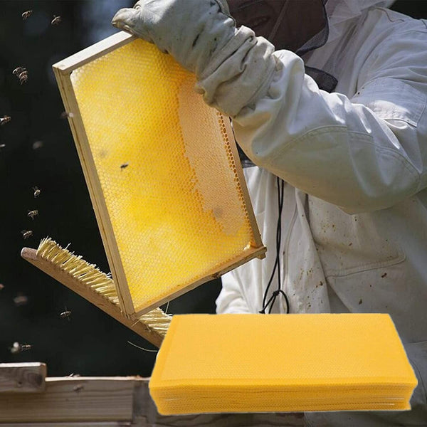 30pcs Bee Hive Wax Frames Honeycomb Foundation Sheets Beekeeping Honey Equipment - Lets Party