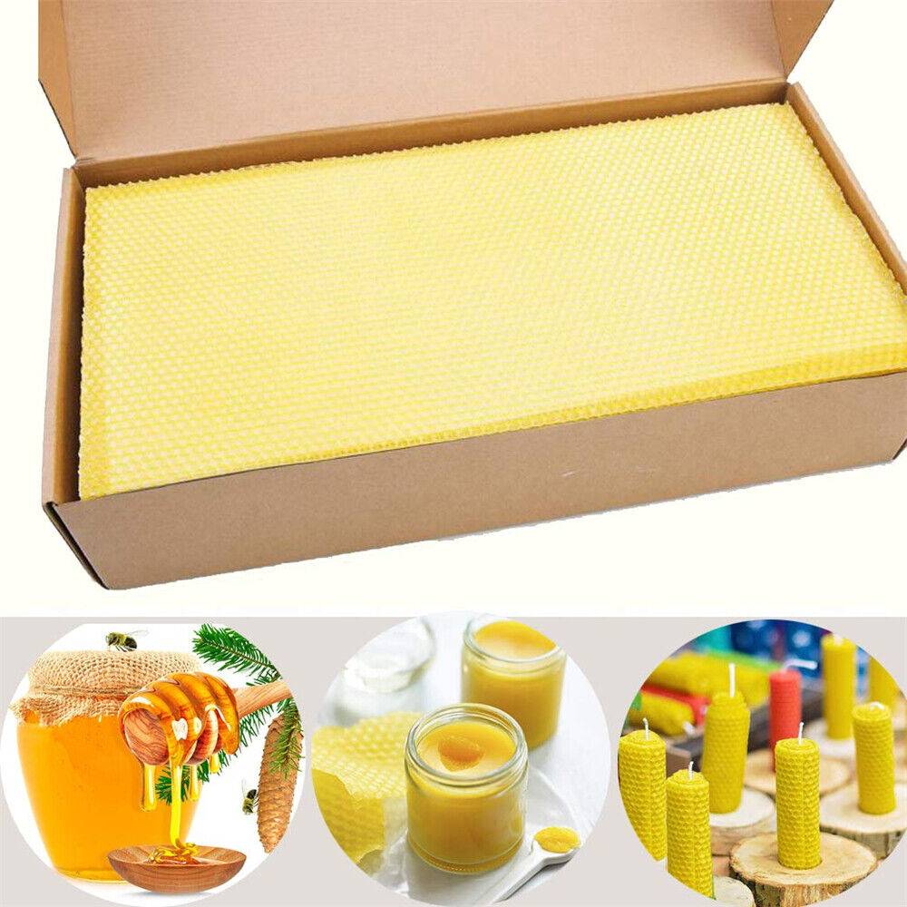 30pcs Bee Hive Wax Frames Honeycomb Foundation Sheets Beekeeping Honey Equipment - Lets Party