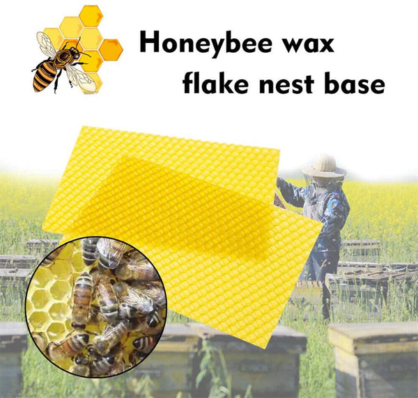 30pcs Bee Hive Wax Frames Honeycomb Foundation Sheets Beekeeping Honey Equipment - Lets Party