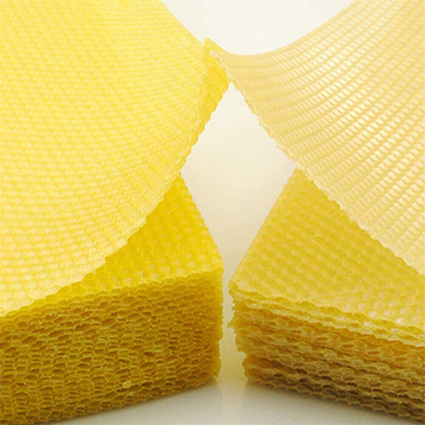 30pcs Bee Hive Wax Frames Honeycomb Foundation Sheets Beekeeping Honey Equipment - Lets Party