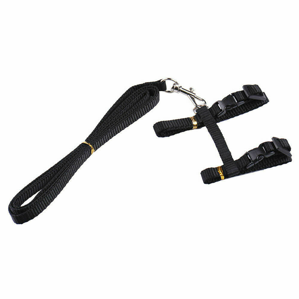 Cat Kitten Pet Walking Harness Lead Nylon Leash Adjustable Collar with Clip - Lets Party