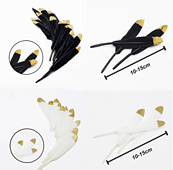 Mix Hen Pheasant Peacock Tail Eye Goose Feathers Wedding Millinery DIY Craft - Lets Party