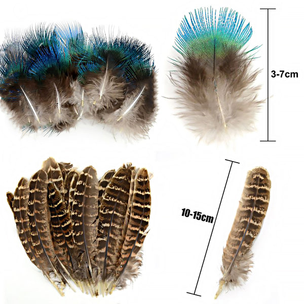 Mix Hen Pheasant Peacock Tail Eye Goose Feathers Wedding Millinery DIY Craft - Lets Party