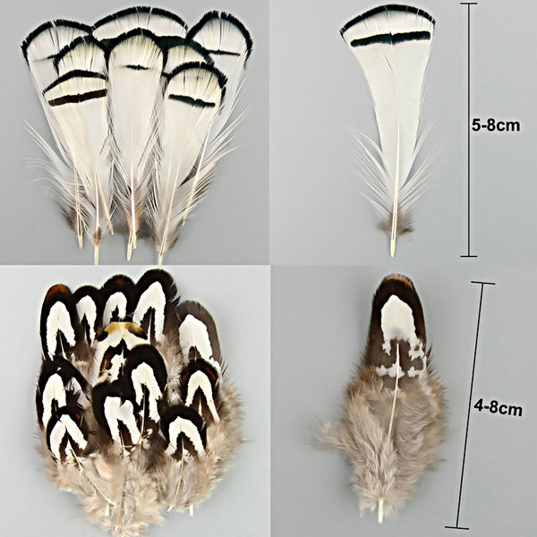 Mix Hen Pheasant Peacock Tail Eye Goose Feathers Wedding Millinery DIY Craft - Lets Party