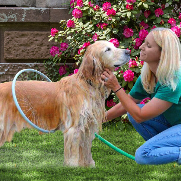 Pet Washer 360 Dog Cat Shower Hair Clean Kit Household Woof Wash Easy Tool - Lets Party