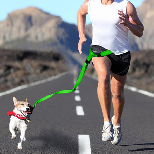 Adjustable Dog Hands Free Leash Waist Belt Buddy Jogging Walking Running Green - Lets Party