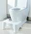 Eco Toilet Potty Stool Healthy Sit and Squat BathroomMost Comfort - Lets Party