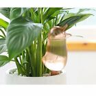 4PCS Plant Self Watering Spikes Pot Drip Irrigation Garden Tool Plant Waterer AU