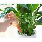 4PCS Plant Self Watering Spikes Pot Drip Irrigation Garden Tool Plant Waterer AU