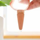 4PCS Plant Self Watering Spikes Pot Drip Irrigation Garden Tool Plant Waterer AU