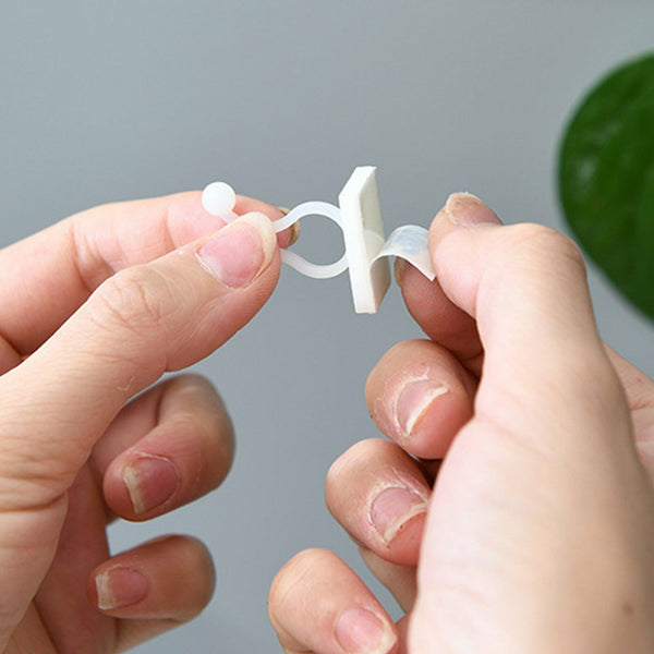 200Pcs Invisible Wall Rattan Clamp Clip Plant Climbing Wall Clip Wall Vine Fixt