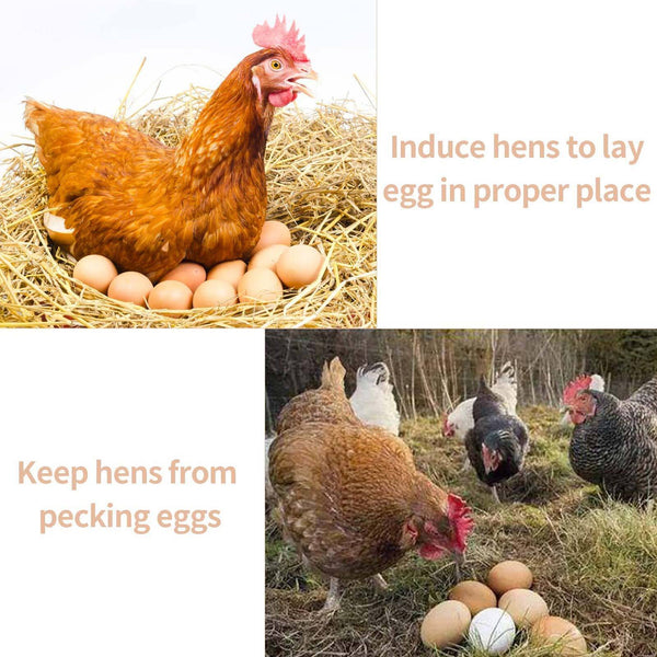 12x Plastic Fake Chicken Eggs Poultry Layer Coop Hatching Simulation Dummy Egg A