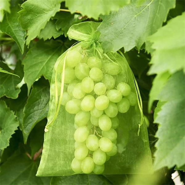 Fruit Net Bags Agriculture Garden Vegetable Protection Mesh Insect Proof