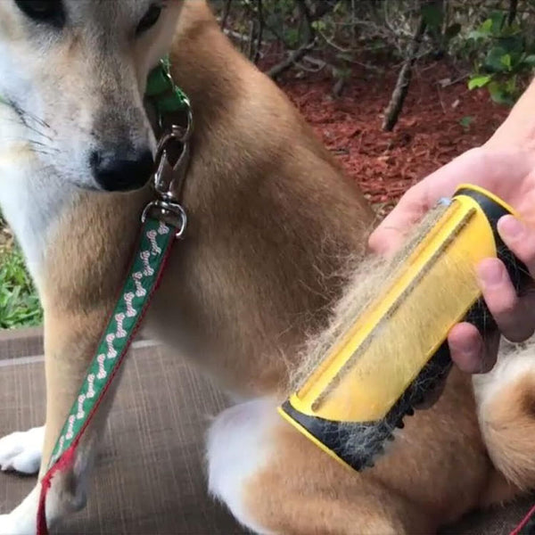 3in1 Deshedding Tool Dog Cat Horse Pet Grooming Brush Comb Hair Removal Bristle