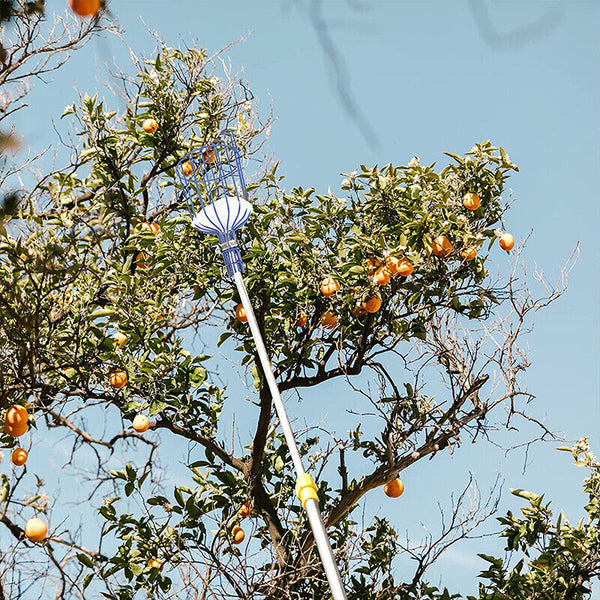 Horticultural Convenient Labor saving Fruit Picker Tool Apple Picking Garden AU