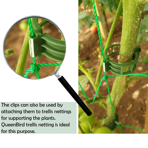 300/600/1200PC Tomato Greenhouse Garden Plant Support Veggie Clip Trellis Twine