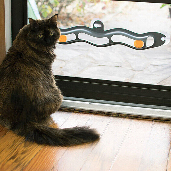 Window Suction Cup Funny Cat Toys Track Bal Cat Pet Toy Interactive Track Ball