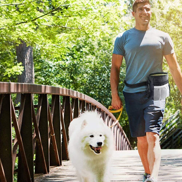 Dog Treat Training Pouch Pet Training Bag Large Capacity Puppy Snack Waist Bags