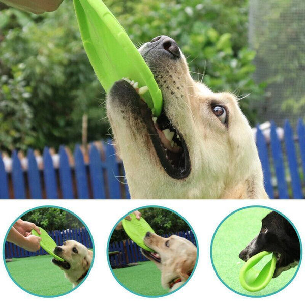 Dog Frisbee Rubber Pet Puppy Safe Exercise Fetch Outdoor Training Toy AU STOCK