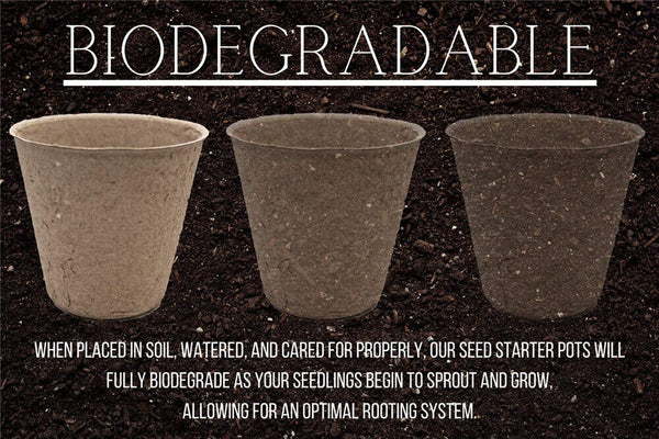 Biodegradable Paper Seedling Pots Seed Starter Garden Nursery Round Herb Planter
