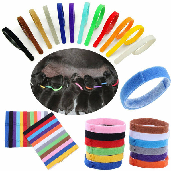 12 Colours Whelping ID Collar Bands Pet Puppy Kitten Identification Collar Tags