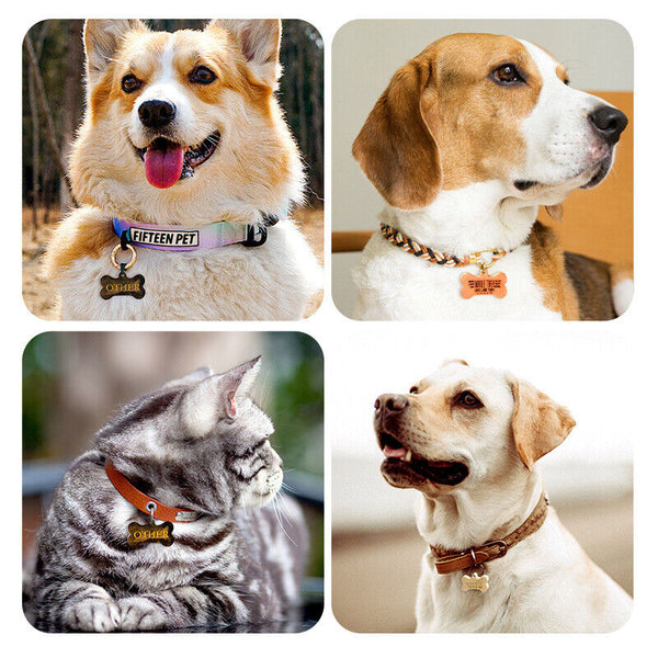 2pcs Dog Bone Keyring Silicone Mould ID Name Tag Keychain Resin Casting Mold AU