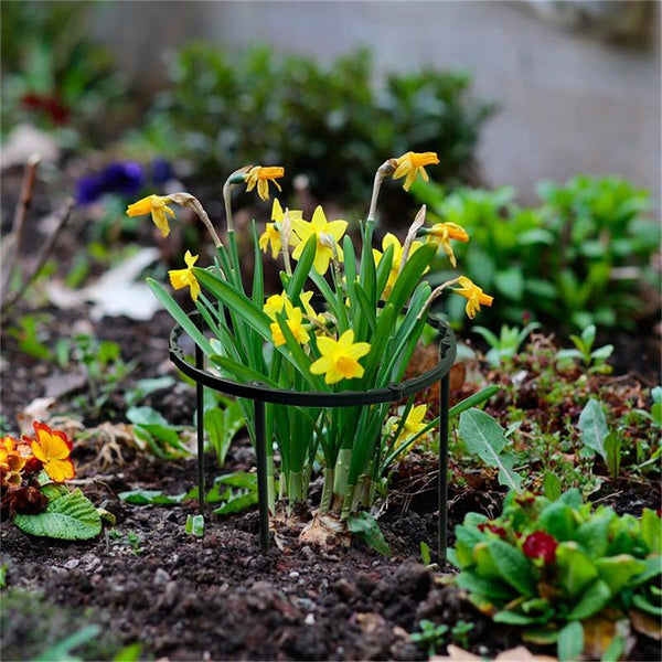 8X Stakes Plant Support Stand Garden Climbing Trellis +50X Plant Garden Clips AU