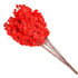 products/s-l1600_12a94dff-d7f2-4d05-bd44-82efcd1f0451.jpg