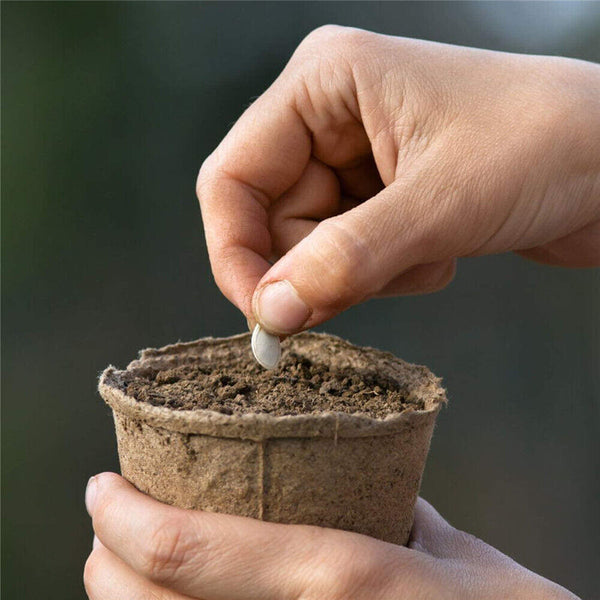 Biodegradable Paper Seedling Pots Seed Starter Garden Nursery Round Herb Planter