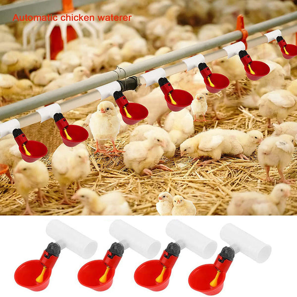 10PCS Automatic Cups Water Feeder Drinker Chicken Waterer Poultry Chook Bird AUS