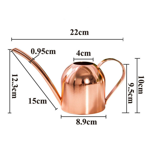 500ml Small Indoor Watering Can for House Plants Stainless Pot w/ Long Spout - Lets Party