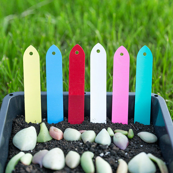 100Pcs PVC Plant Marker Labels Flexible Plastic Tag Seedlings Waterproof Garden - Lets Party