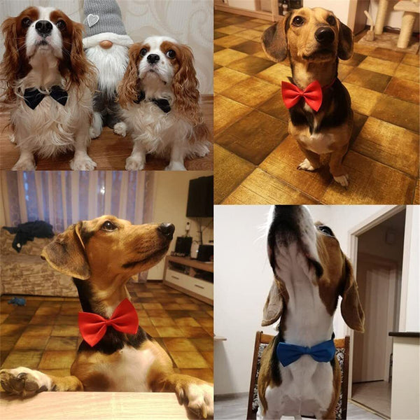 10/50/100PCS Wholesale Pet Dog Puppy Cat Necktie Bow Ties Collar Grooming Out AU