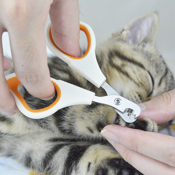 Pet Nail Clippers Cat Kitten Bird Claw Clippers Small Dog Nail Trimmer Scissors