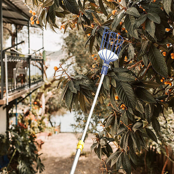 Horticultural Convenient Labor saving Fruit Picker Tool Apple Picking Garden AU