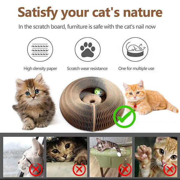 Magic Organ Cat Scratching Board Grab Board--Comes With A Toy Bell Ball AU Stock