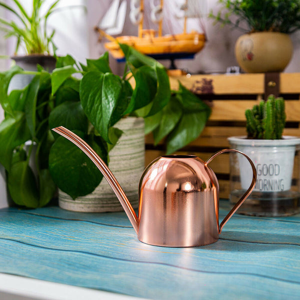 500ml Small Indoor Watering Can for House Plants Stainless Pot w/ Long Spout - Lets Party