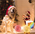 products/s-l1600_2_a30cf4ea-fd7c-4c0e-956e-83f5a552c7f4.png